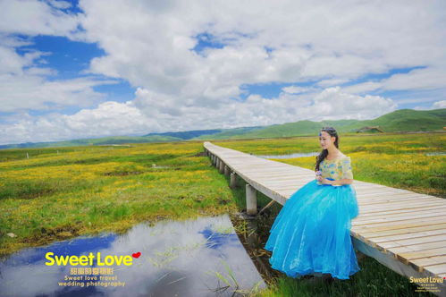 旅行婚纱摄影甜蜜的草原婚纱照怎么拍