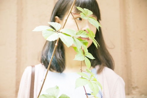 欢迎你来到我的城市.