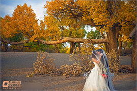 穿着婚纱去旅行 旅行婚纱摄影自拍技巧