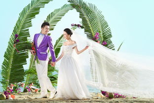 灰色基调摄影研发机构 引领2680旅游婚纱拍摄新风尚